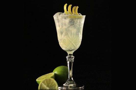 Gin Sour