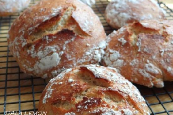 2-hour no knead bread 2-hour no knead bread