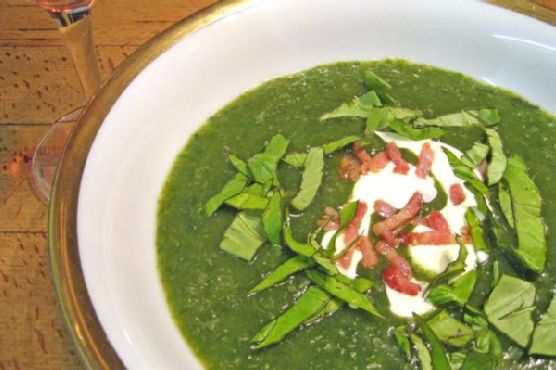 Chilled Lettuce Soup Chilled Lettuce Soup