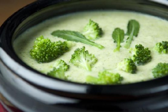 Chock Full Of Broccoli Soup Chock Full Of Broccoli Soup