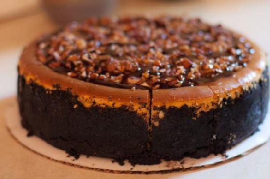 Easy Turtle Pumpkin Pie Easy Turtle Pumpkin Pie
