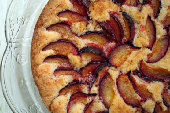 Fresh Plum Cake Fresh Plum Cake