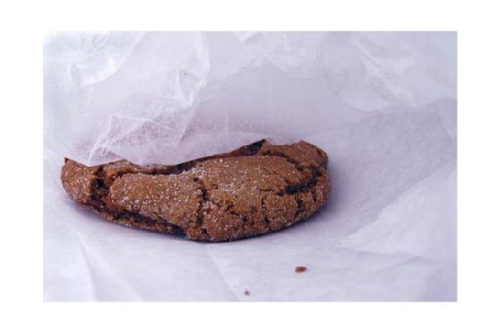 Ginger Snaps Ginger Snaps