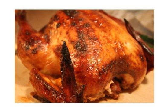 Good Eats Roast Turkey