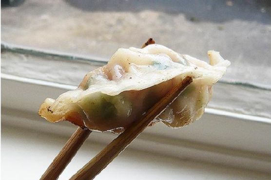 Japanese Gyoza Pot Stickers Japanese Gyoza Pot Stickers
