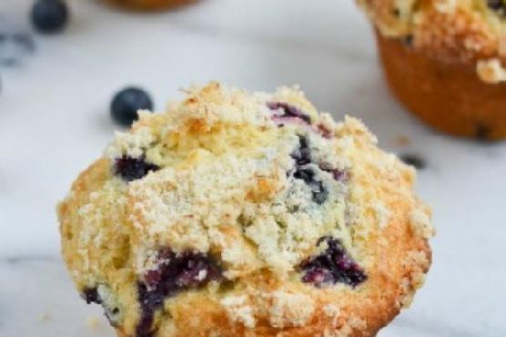 Jumbo Blueberry Muffins Jumbo Blueberry Muffins