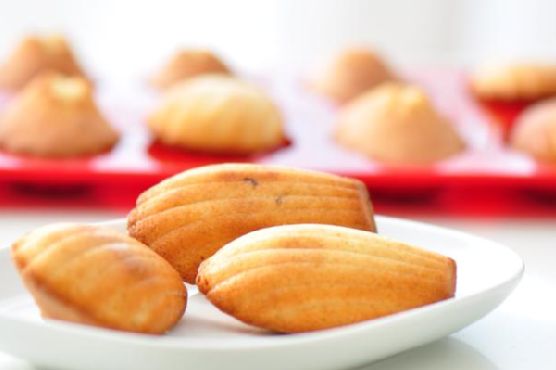 Madeleines