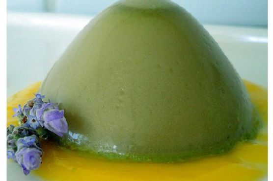 Matcha Panna Cotta Notta Matcha Panna Cotta Notta