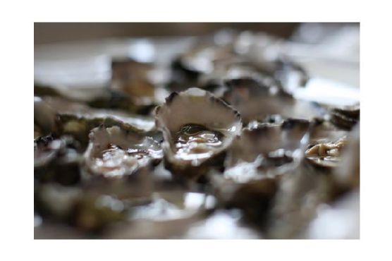 Oysters Diablo