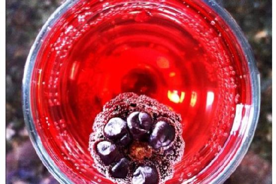 Pomegranate Champagne Fizz Pomegranate Champagne Fizz